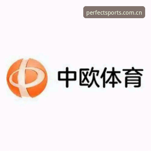 完美体育手机APP手机版实用指南：从下载到流畅体验的必备知识