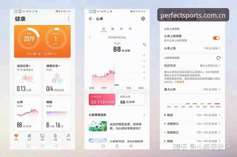 完美体育新版选择哪个更优？深度解析APP与官网入口的全面比较
